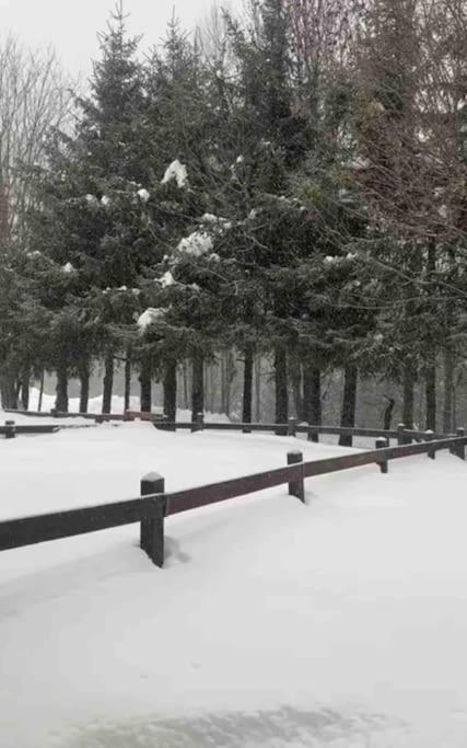 Appartamento Ampio Giardino Adiacente Piste Sci 4/6 Posti Letto La Thuile Exterior foto