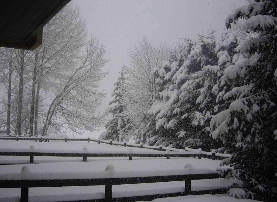 Appartamento Ampio Giardino Adiacente Piste Sci 4/6 Posti Letto La Thuile Exterior foto